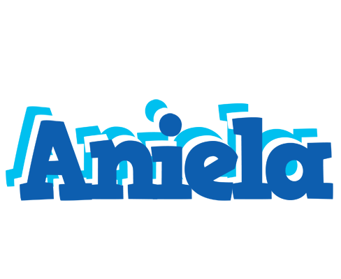 Aniela business logo