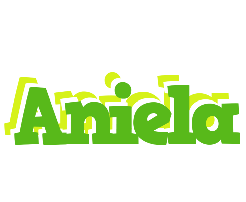 Aniela picnic logo