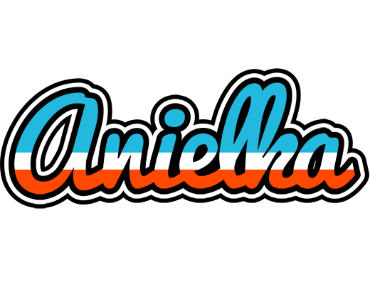 Anielka america logo