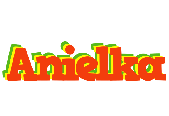 Anielka bbq logo