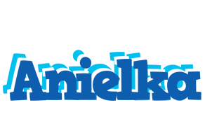 Anielka business logo