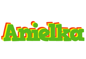 Anielka crocodile logo