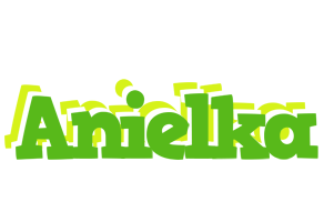 Anielka picnic logo