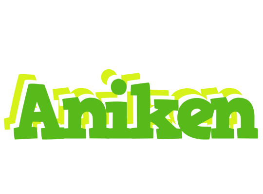 Aniken picnic logo