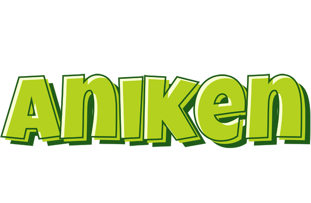 Aniken summer logo
