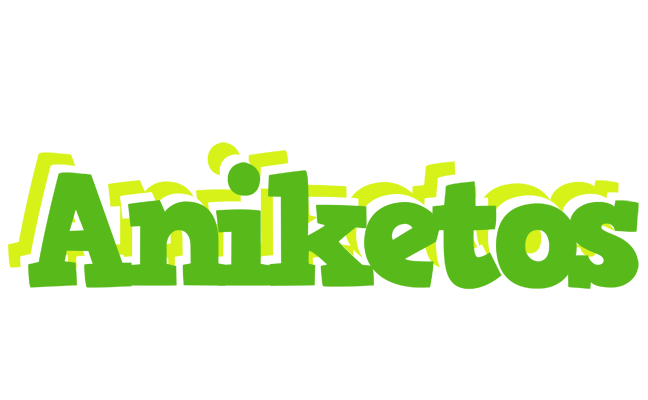 Aniketos picnic logo