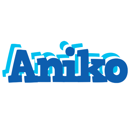 Aniko business logo
