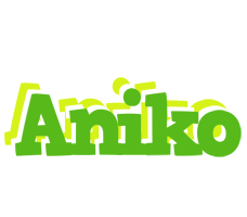 Aniko picnic logo