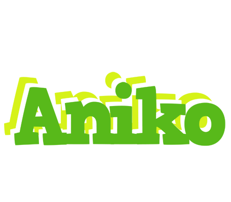 Aniko picnic logo