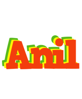 Anil bbq logo