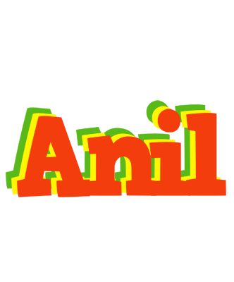 Anil bbq logo