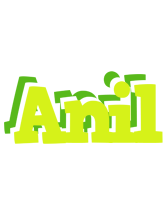 Anil citrus logo