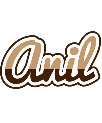 Anil exclusive logo