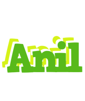 Anil picnic logo