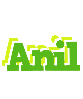 Anil picnic logo