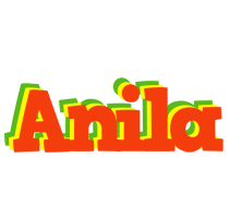 Anila bbq logo