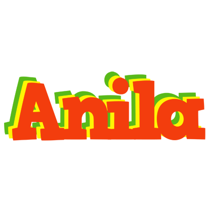 Anila bbq logo