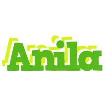 Anila picnic logo