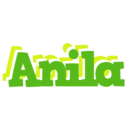 Anila picnic logo