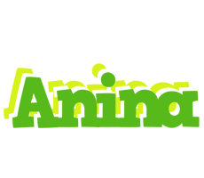 Anina picnic logo