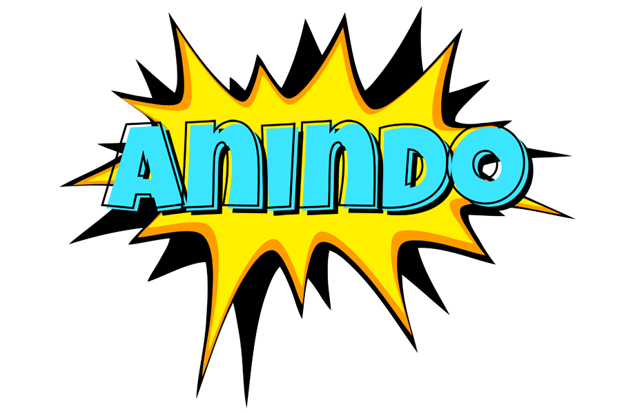 Anindo indycar logo