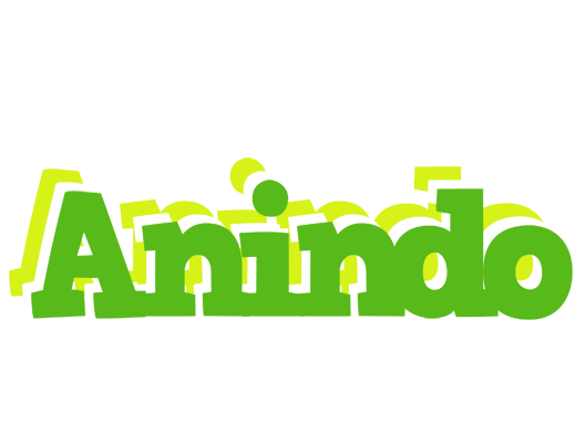 Anindo picnic logo