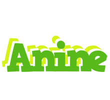 Anine picnic logo