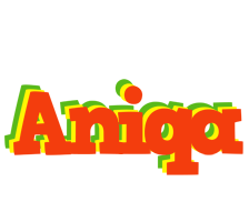 Aniqa bbq logo