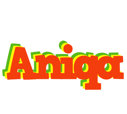 Aniqa bbq logo