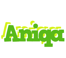 Aniqa picnic logo