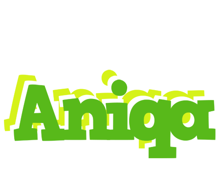 Aniqa picnic logo