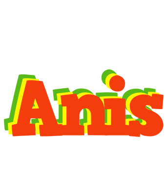 Anis bbq logo