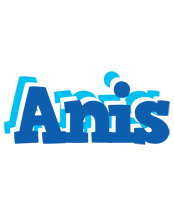 Anis business logo