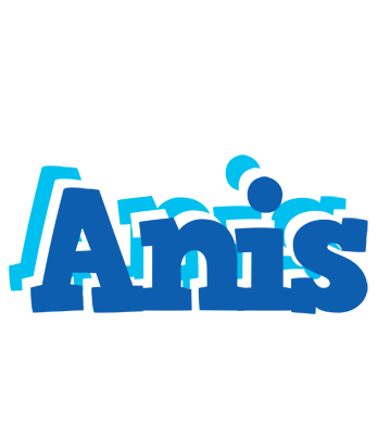 Anis business logo