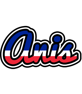 Anis france logo