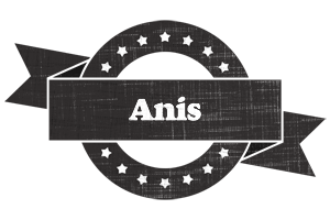 Anis grunge logo