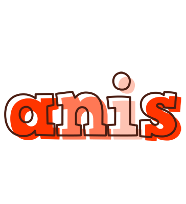 Anis paint logo