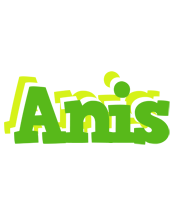 Anis picnic logo