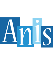 Anis winter logo