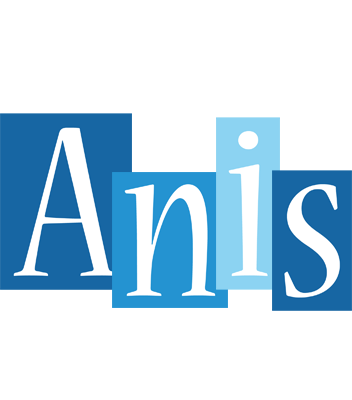 Anis winter logo