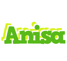 Anisa picnic logo