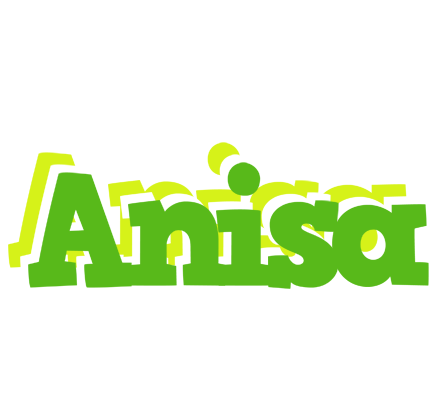 Anisa picnic logo