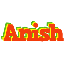 Anish bbq logo