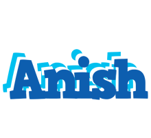 Anish business logo