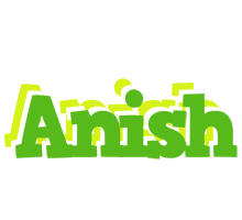Anish picnic logo