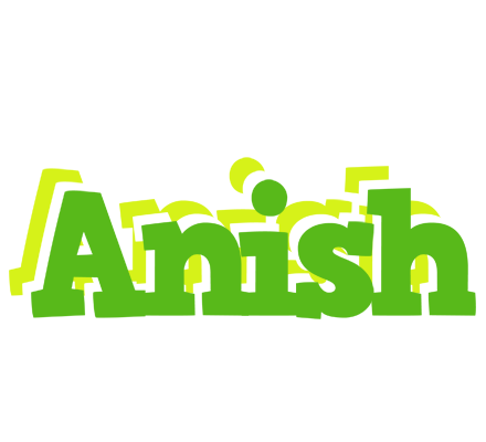 Anish picnic logo