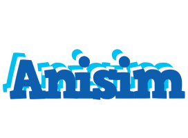 Anisim business logo