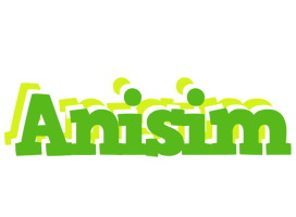 Anisim picnic logo