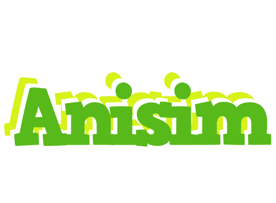 Anisim picnic logo