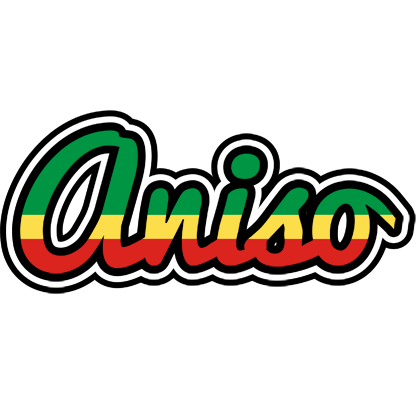 Aniso african logo